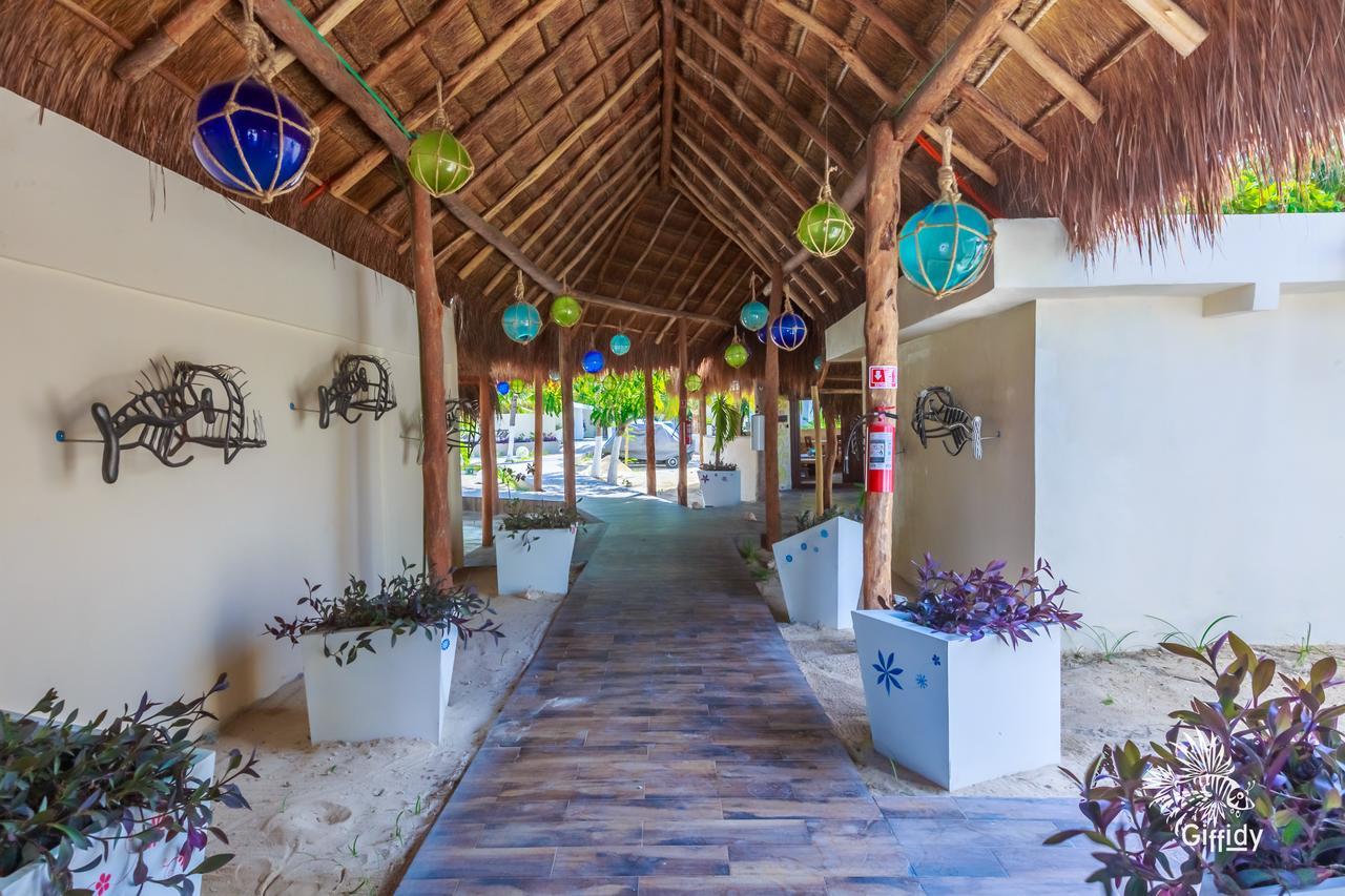 Hotel Paradise Suites Isla Mujeres Eksteriør bilde